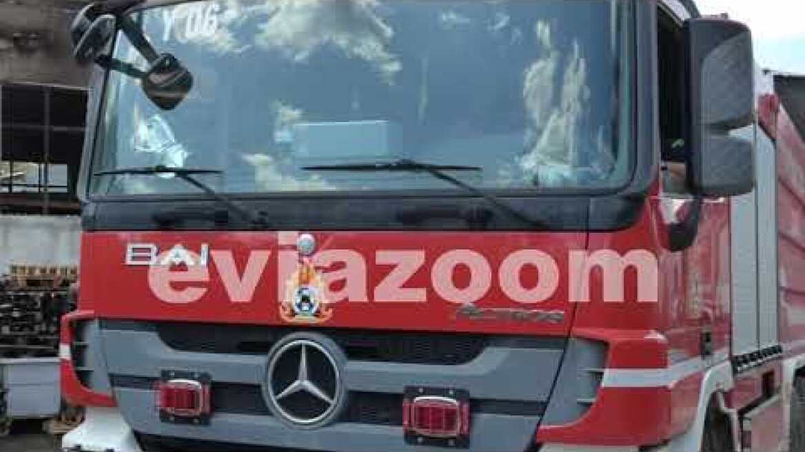 EviaZoom.gr - Χαλκίδα: Στις φλόγες τυλίχτηκε βιοτεχνία στο Δοκό