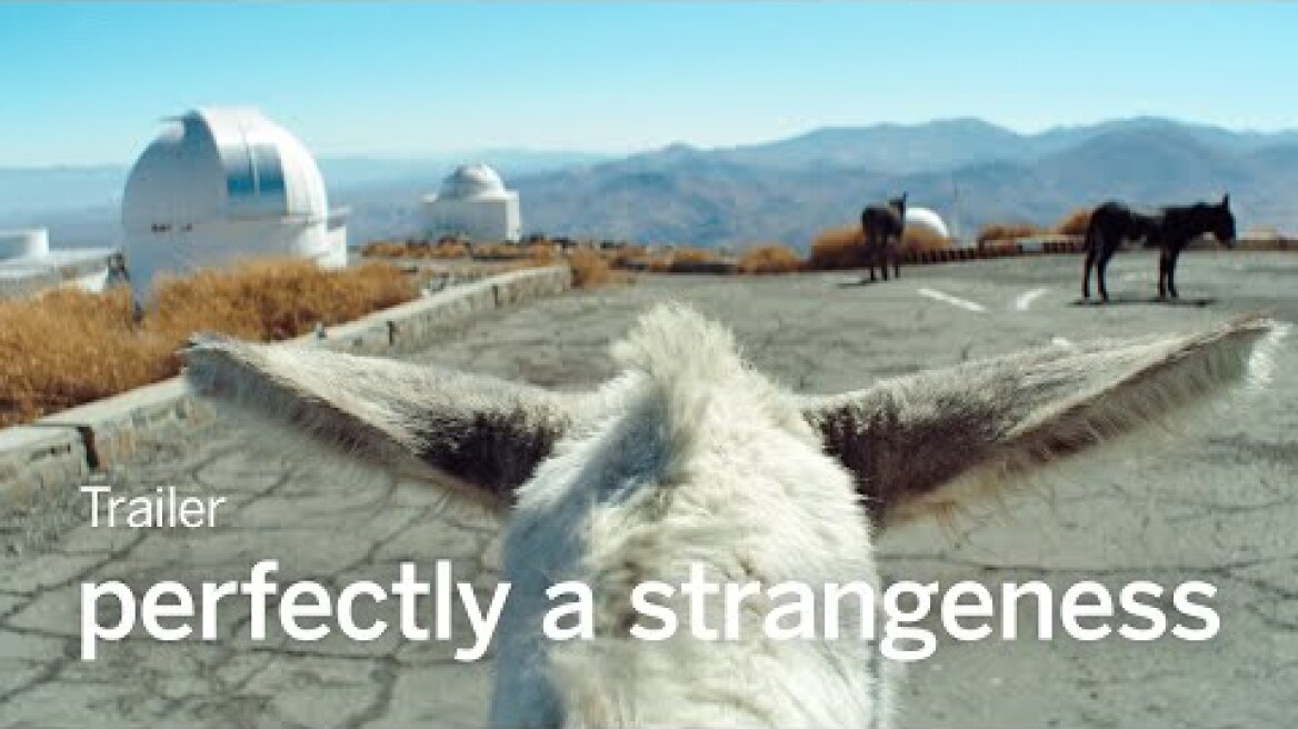 PERFECTLY A STRANGENESS Trailer | TIFF 2024