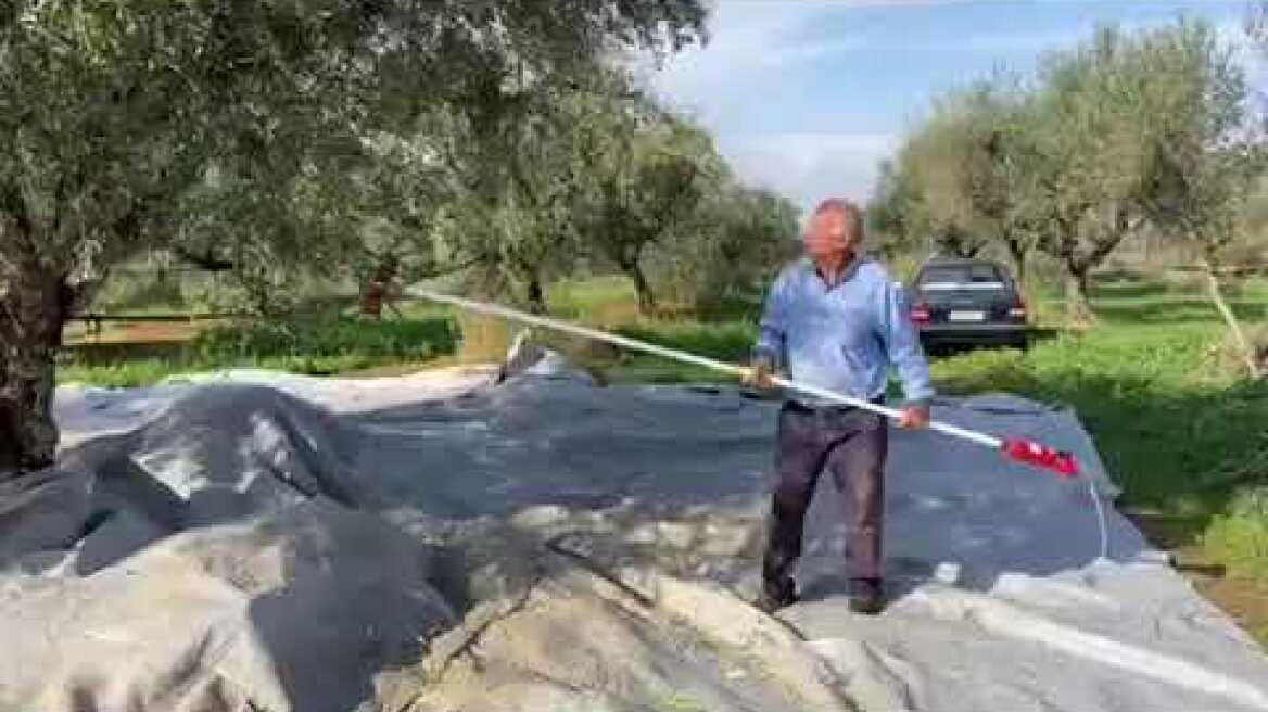 Κλοπές λαδιών: Θύματα από όλη την Ελλάδα μιλούν στο Πρώτο Θέμα (6)