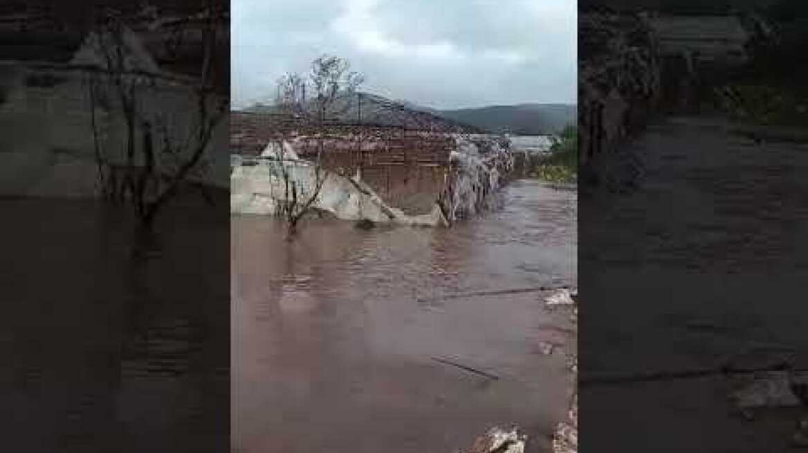 Υπερχείλισε το ποτάμι της Νέδας, στα όρια Ηλείας και Μεσσηνίας