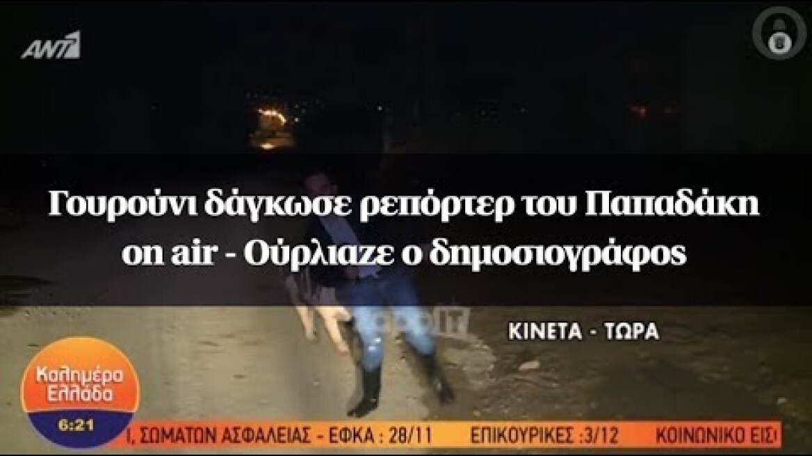 Γουρούνι δάγκωσε ρεπόρτερ του Παπαδάκη on air - Ούρλιαζε ο δημοσιογράφος