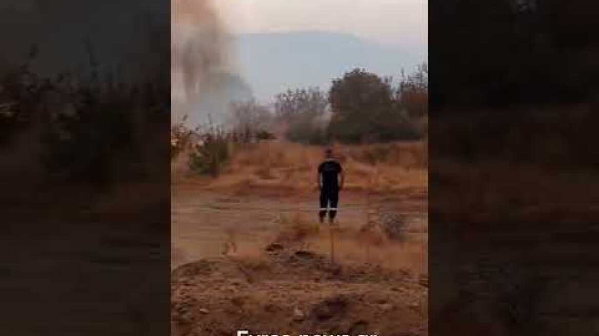 Αντιπυρικε ς έξω από την Δαδιά σταματούν την φωτιά