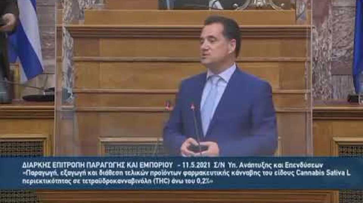 Γεωργιάδης επιτροπή