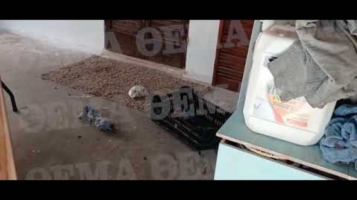 Κυψέλη: Φρικιαστικές αποκαλύψεις για τον θάνατο του 7χρονου (2)