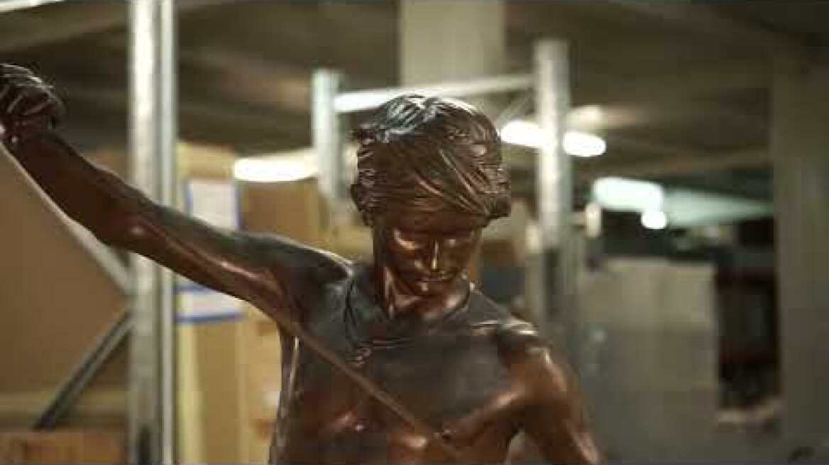 ΔΔΕΑΜ - Ιστορίες από το Τατόι | Video Documentation