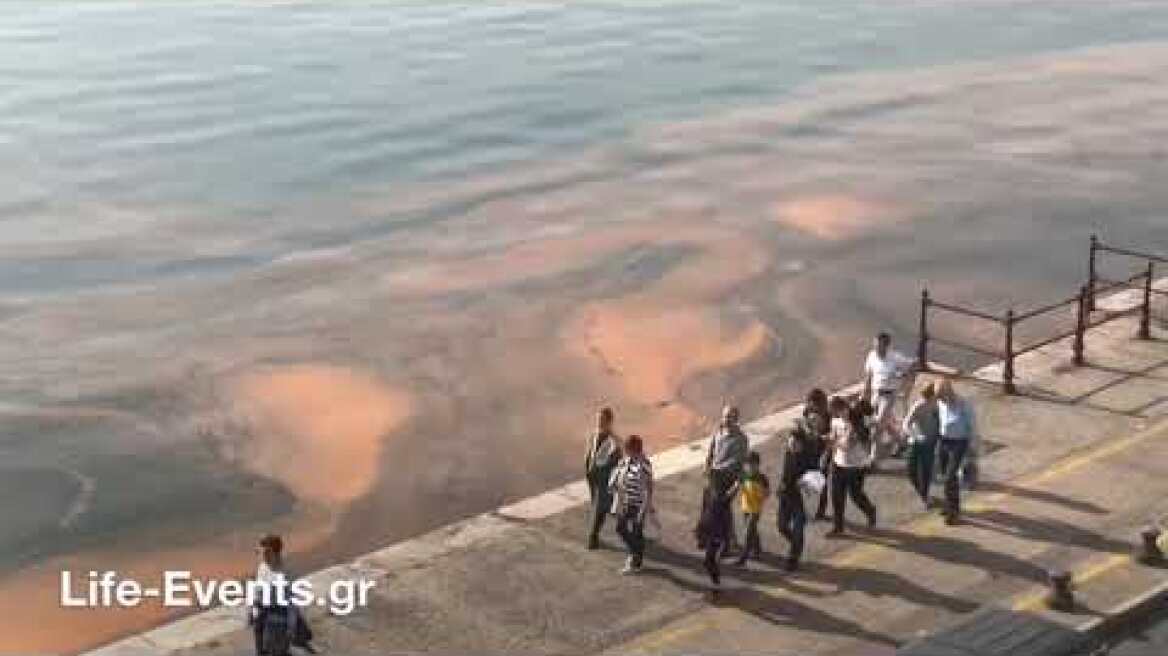 Ο Θερμαϊκός έγινε καφέ