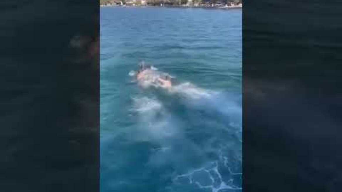 Ο Αγιασμός των υδάτων στον Αλμυροπόταμο