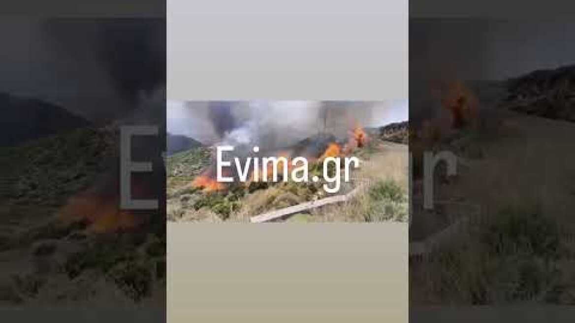 Φωτιά στην Κάρυστο