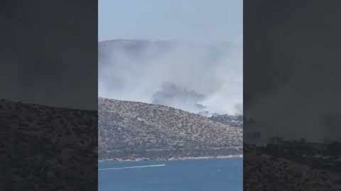 Φωτιά τώρα στην Παλαιά Φώκαια (1)