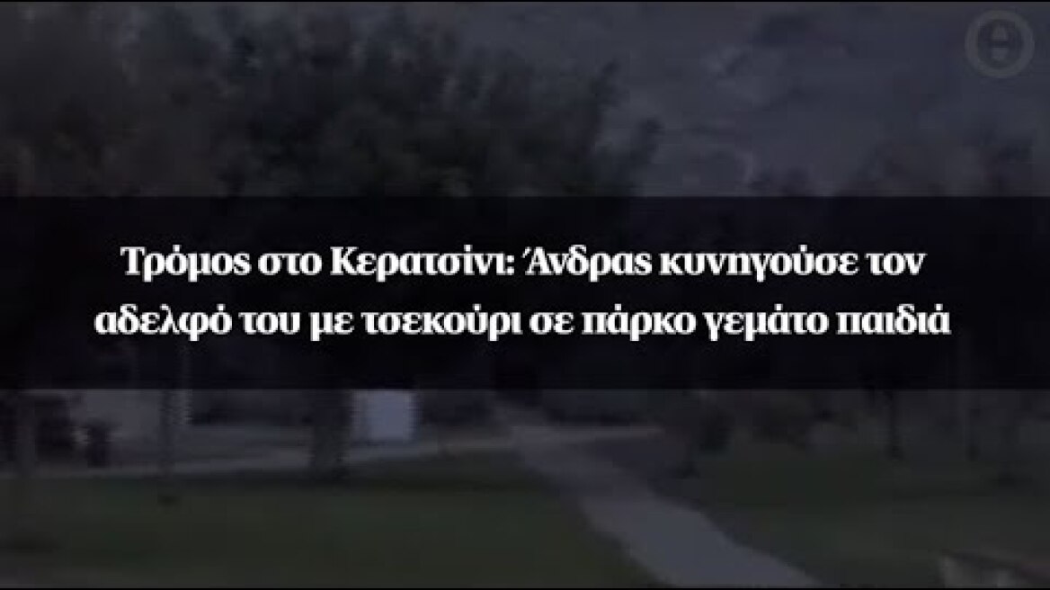 Τρόμος στο Κερατσίνι: Άνδρας κυνηγούσε τον αδελφό του με τσεκούρι σε πάρκο γεμάτο παιδιά