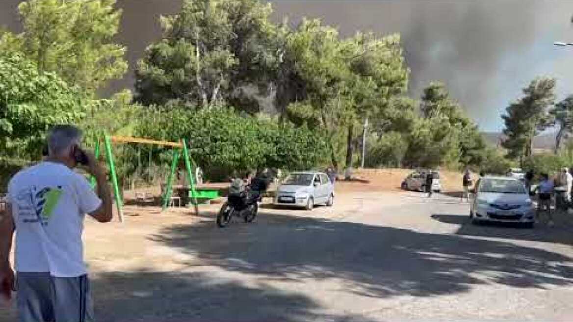 Φωτιά στη Σταμάτα Διονύσου κοντά σε σπίτια (3)