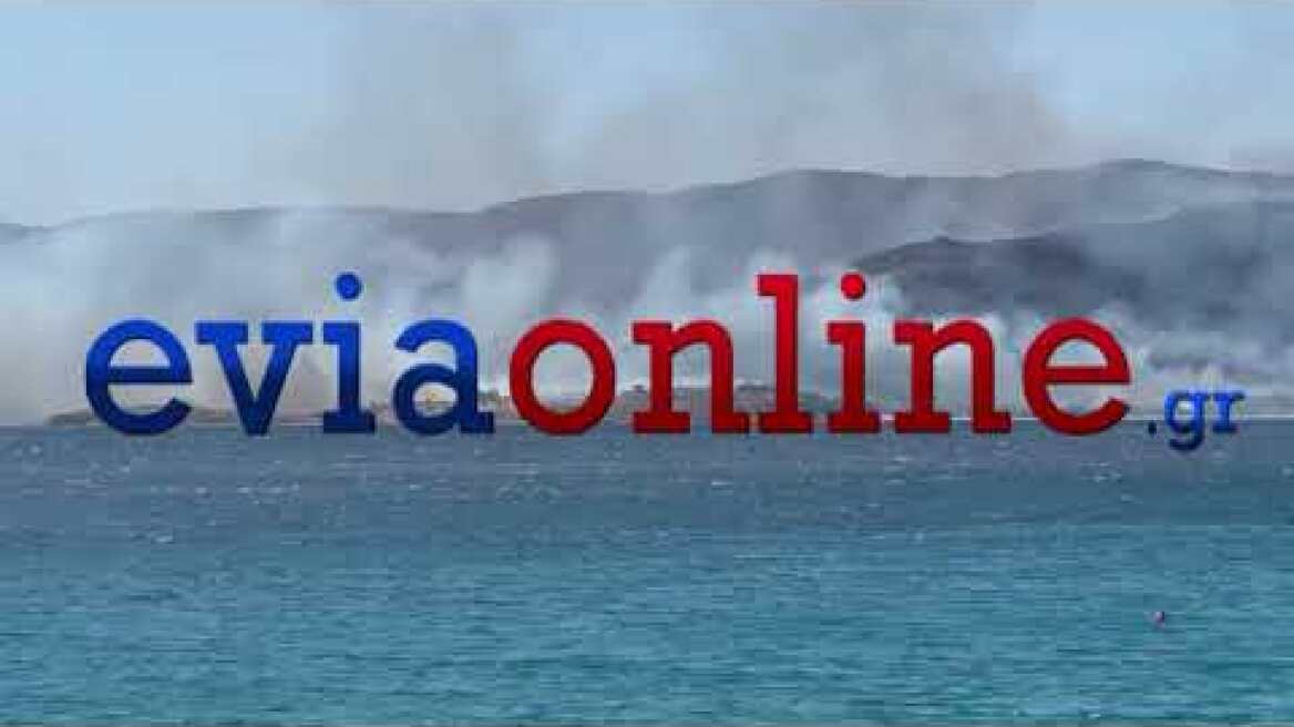 Εύβοια: Φωτιά στην Κάρυστο-Επιχειρούν ελικόπτερα