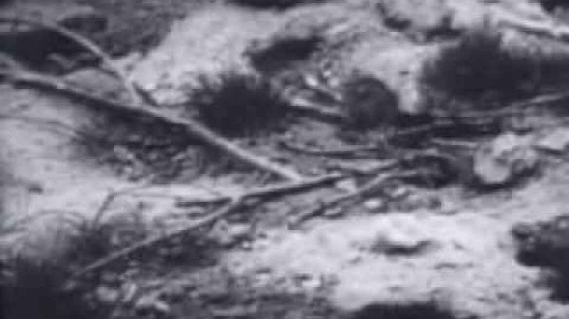 John B. Calhoun's Preliminary Rat Study Funded by Rockefeller Foundation