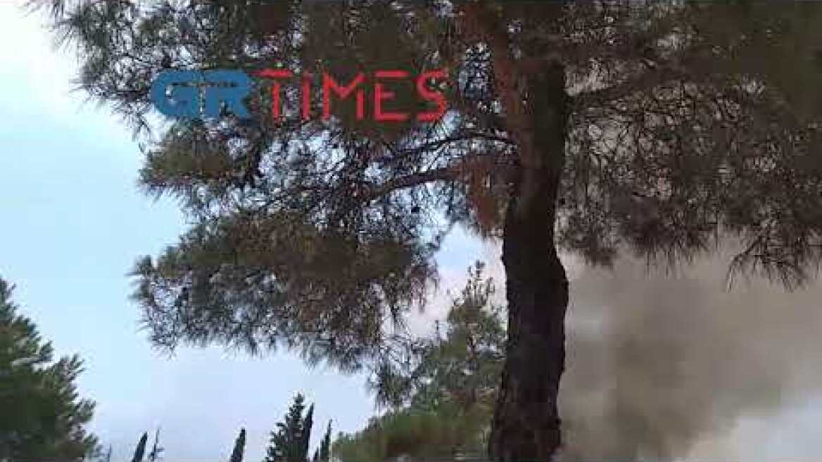 200 μέτρα από το ξενοδοχείο "Φιλίππειο"