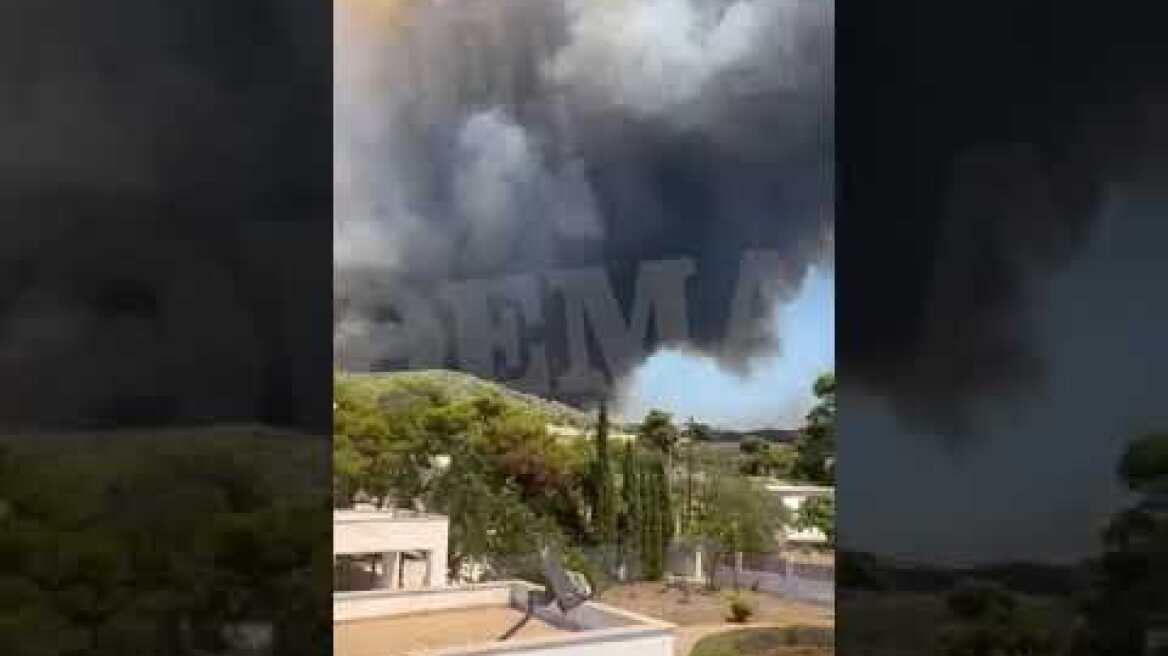 Φωτιά σε δασική έκταση στο Λουτράκι 1