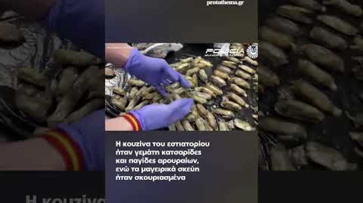 Έκλεισε επειδή πουλούσε περιστέρια για πάπιες – Σκάνδαλο με εστιατόριο στη Μαδρίτη