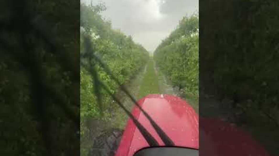 Χαλάζι «χτύπησε» καλλιέργειες σε Τύρναβο και Φάρσαλα