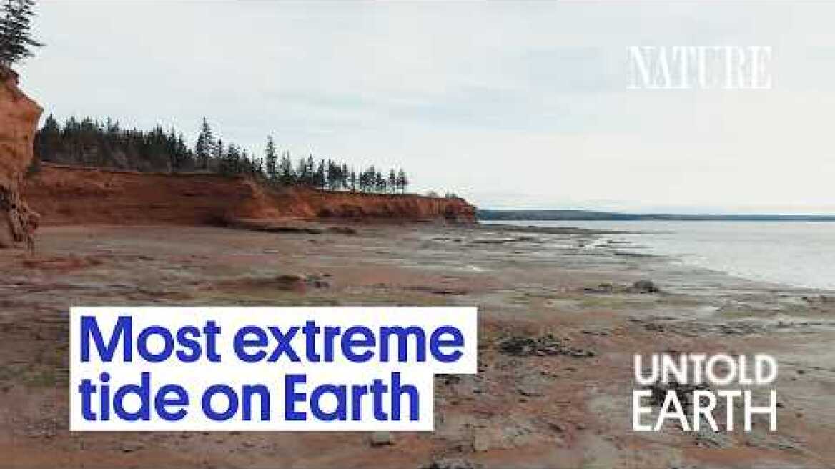 This Bay Moves 100 Billion Tons of Water Every Day