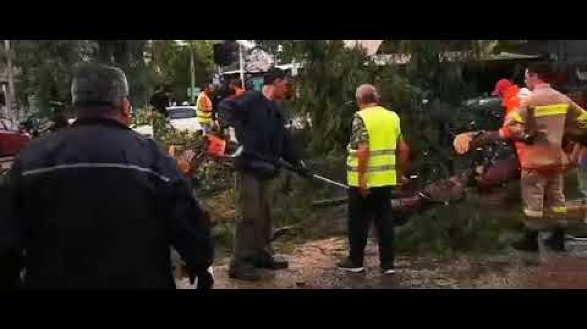 Δέντρο σε δρόμο στο Ν. Ηράκλειο