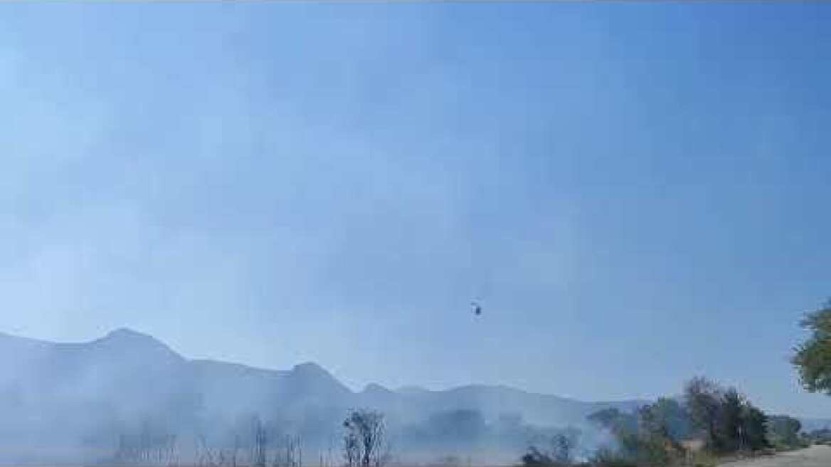 Φωτιά στην Αγορά Θεσπρωτίας