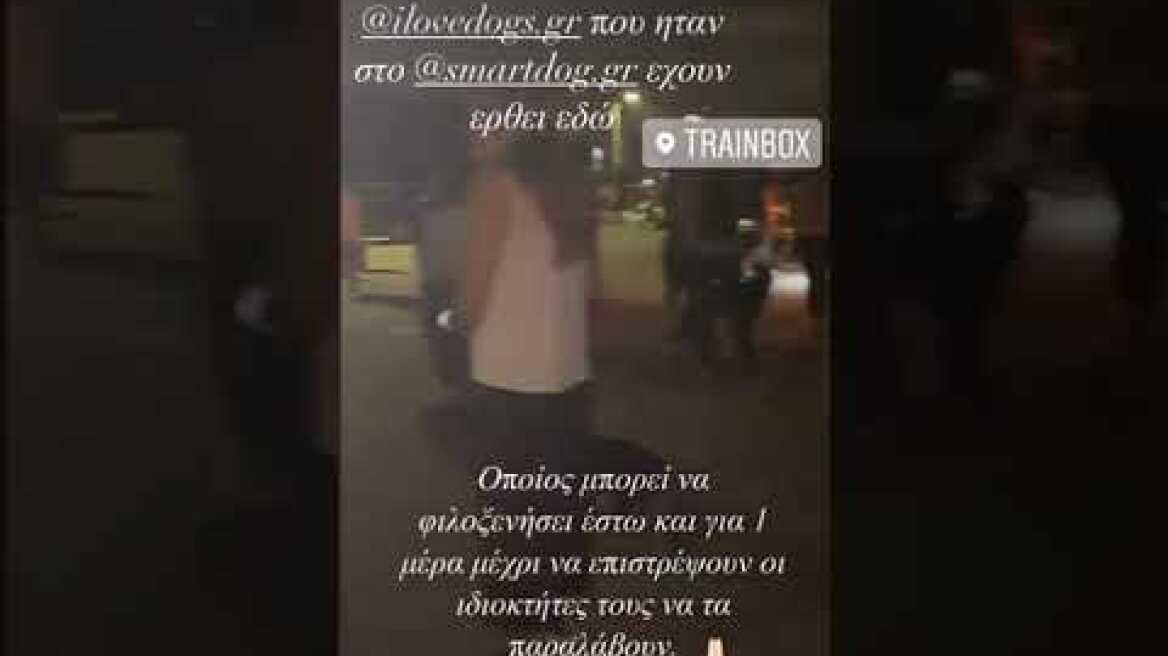 Μεταφορά ζώων 1