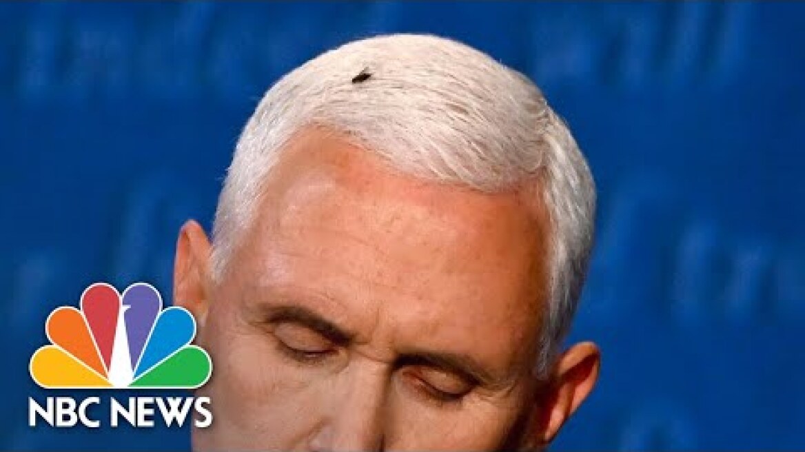 Buzz Of The Debate: Fly Lands On Pence’s Head, Temporarily Steals Show | NBC News
