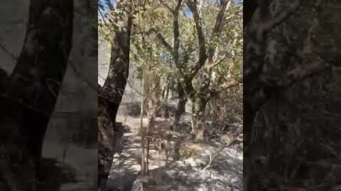 Από θαύμα γλίτωσε το ησυχαστήριο του ηθοποιού Θανάση Ευθυμιάδη (1)