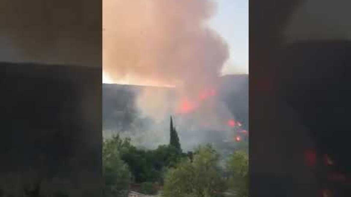 received 2282497088525874