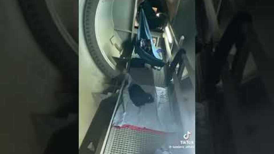 Ομάδα εξερευνητών στο ΟΑΚΑ (2)