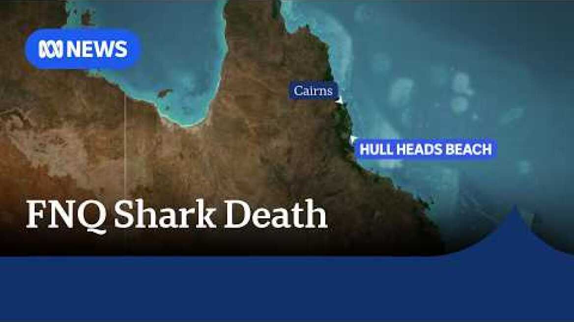 Man dies after shark attack while spear fishing in Queensland | ABC NEWS