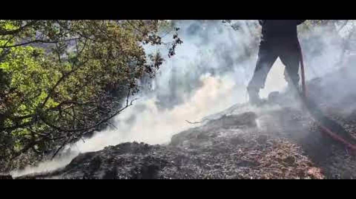 ΦΩΤΙΑ ΣΤΗΝ ΚΕΦΑΛΟΝΙΑ - Η επόμενη μέρα - video Παντελής Ιωαννίδης