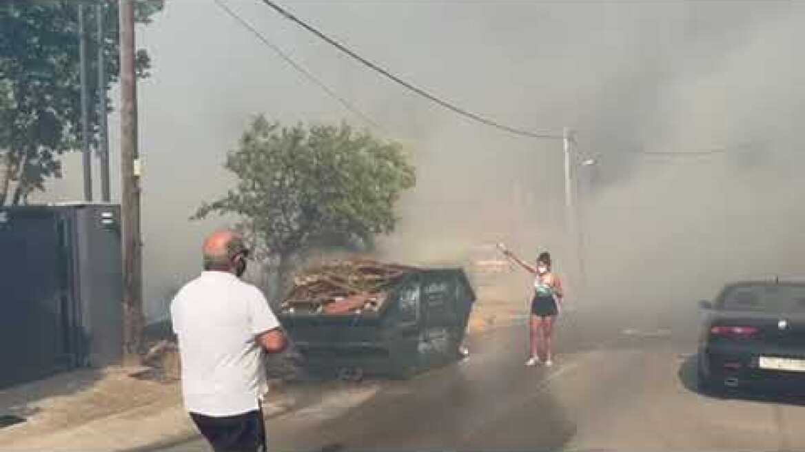 Φωτιά στη Δροσοπηγή (4)