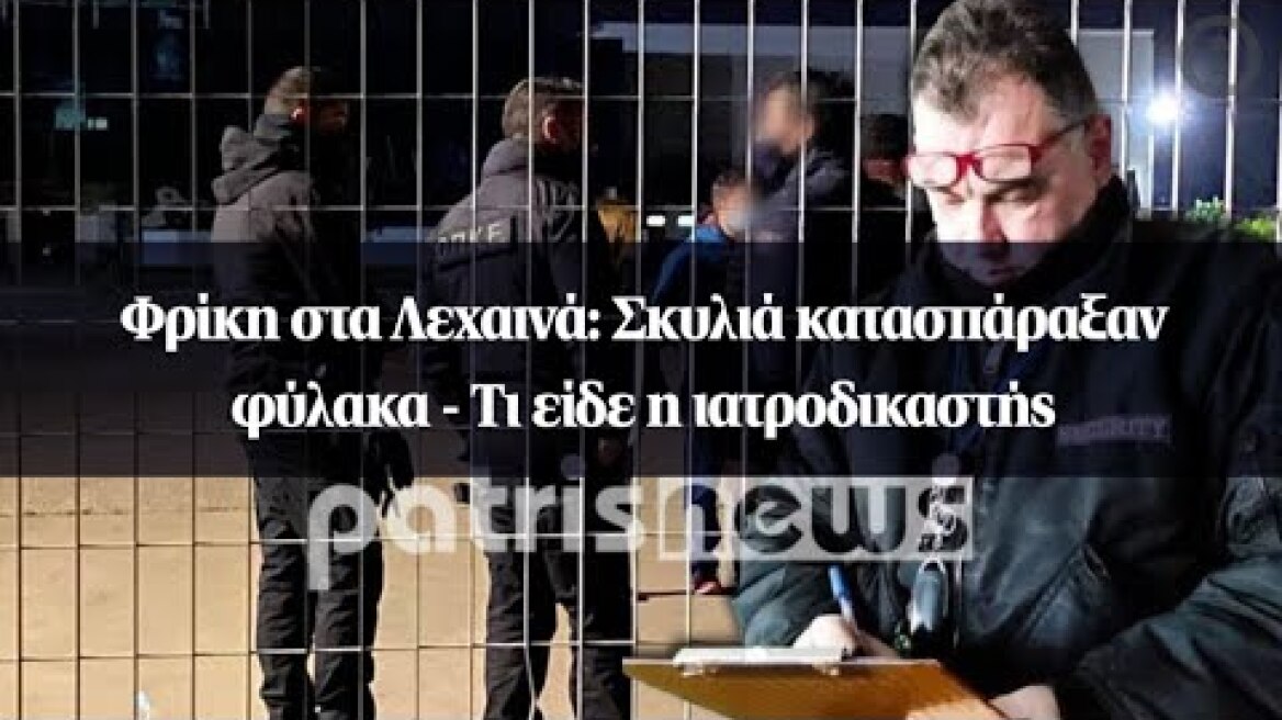 Φρίκη στα Λεχαινά: Σκυλιά κατασπάραξαν φύλακα - Τι είδε η ιατροδικαστής