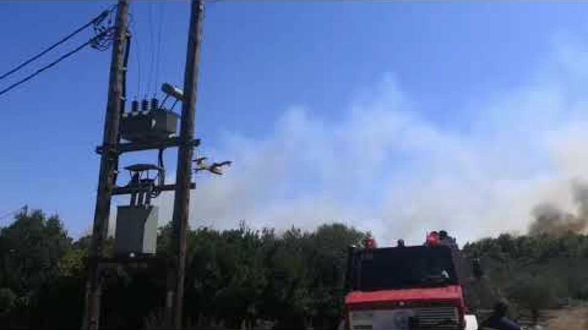 Ζάκυνθος | Φωτιά στον Αγαλά II