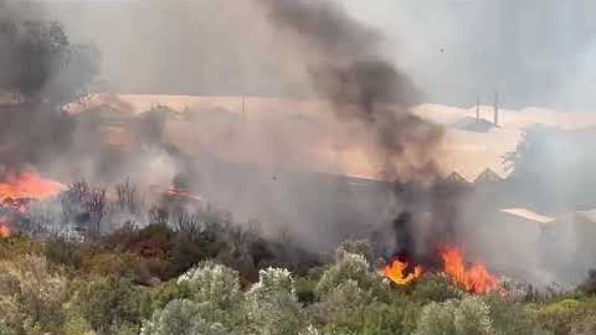 Καίγονται τα φυτώρια του Μαραθώνα (6)