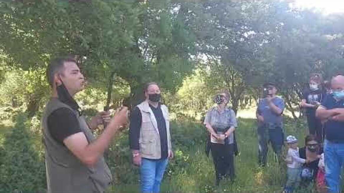 Κυνήγι τρούφας