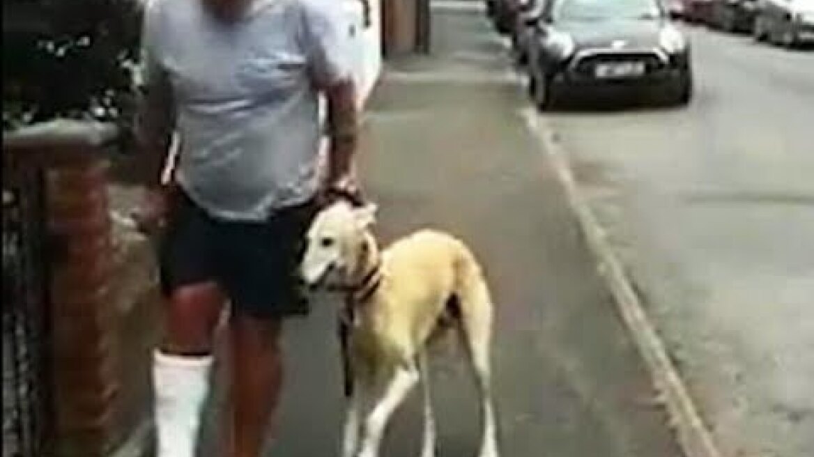 Injured dog owner spends £300 on X Rays and vets for his limping dog