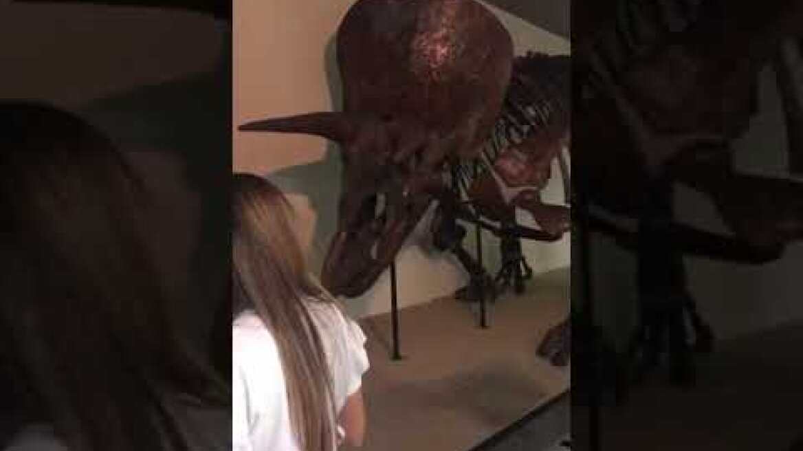 Μαρία Μενούνος στόρυ μουσείο (2)