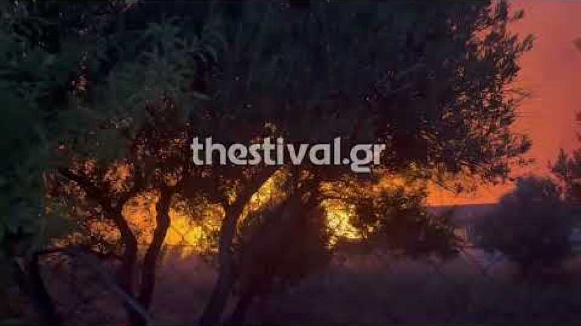 Thestival.gr Μεγάλη φωτιά στην Ανθούπολη Ωραιοκάστρου 