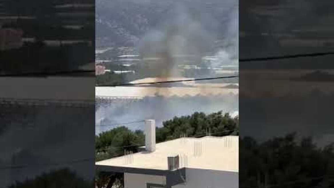 Φωτιά στο Κεντρί Ιεράπετρας – Μεγάλη κινητοποίηση της πυροσβεστικής