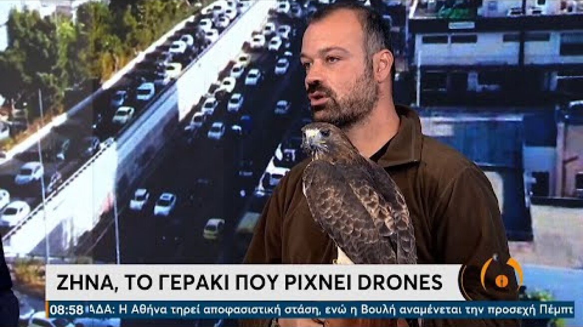 Ζήνα η... πολεμίστρια - Το γεράκι που ρίχνει drones