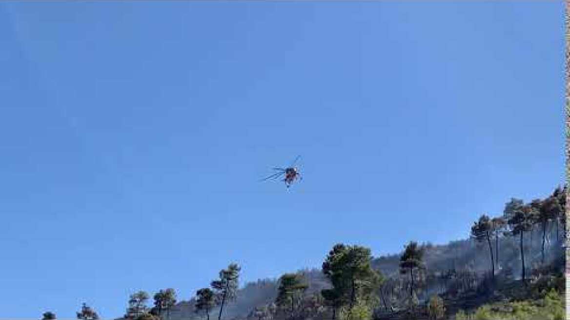 Βιντεο Νέα Μάκρη