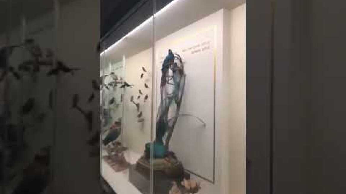 Μαρία Μενούνος στόρυ μουσείο