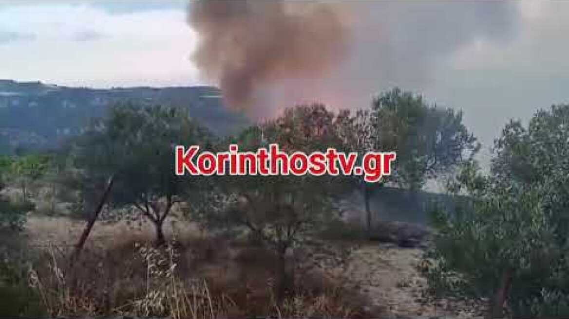 Συνεχείς αναζωπυρώσεις στο Κούτσι Νεμέας - Μάχη με τις φλόγες για τους πυροσβέστες