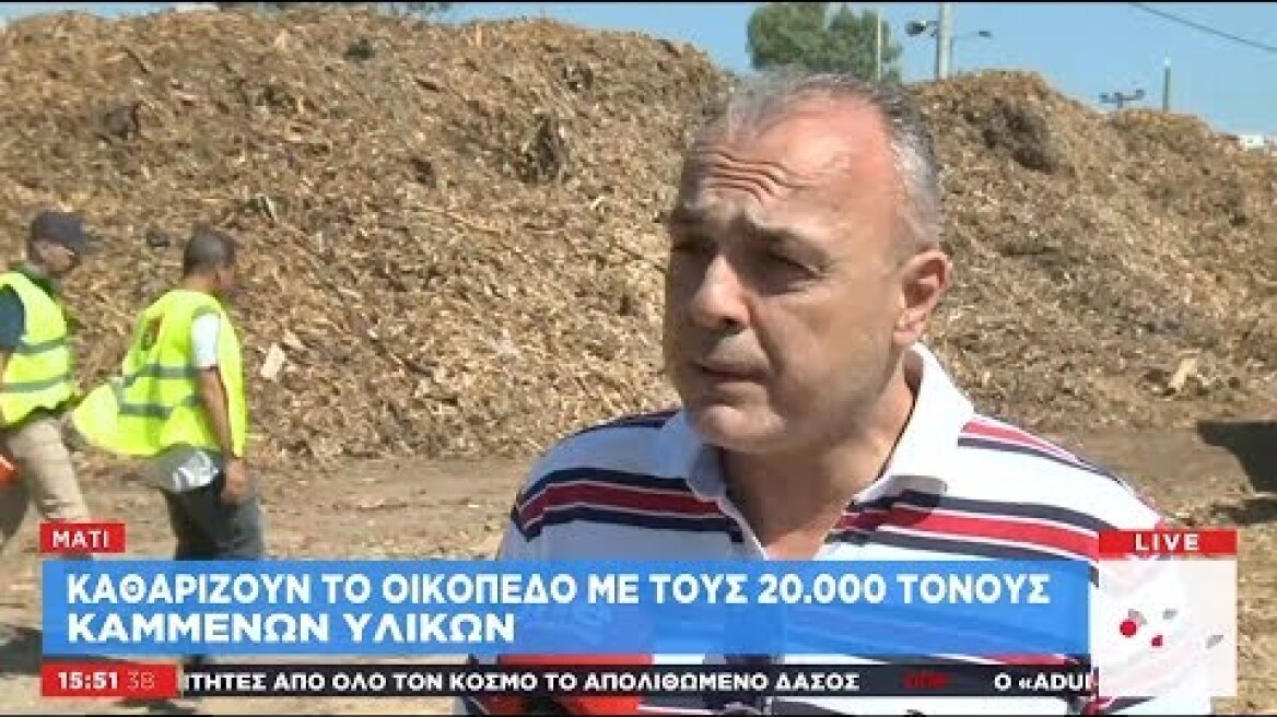 Μάτι: Ξεκίνησε η απομάκρυνση των καμένων ξύλων