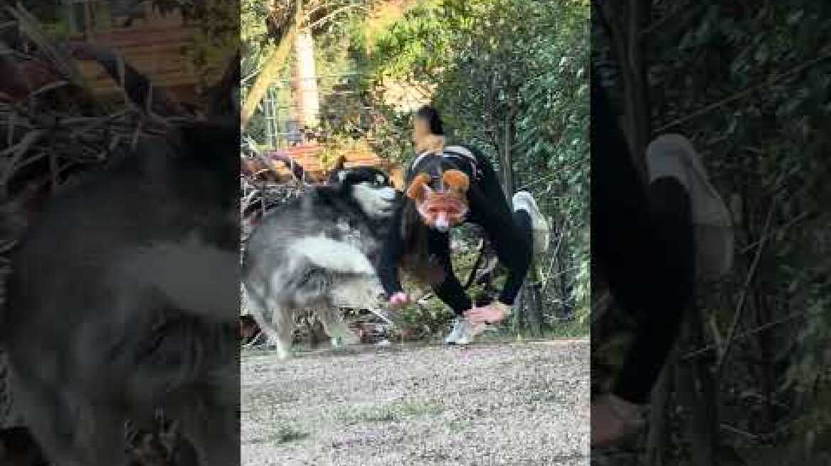 ¡QUÉ RAYOS ES ESO UN THERIAN!! 😰#arta #viral #viralshorts #artagame #therian