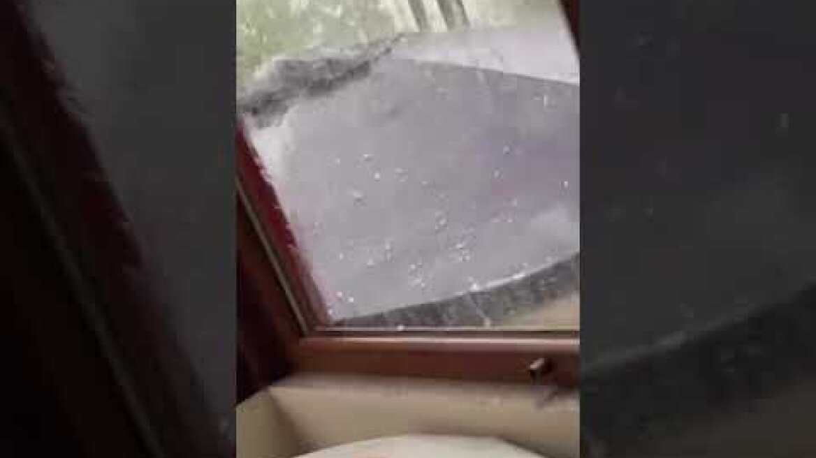 ΚΑΤΑΙΓΙΔΑ ΜΑΥΡΟΔΕΝΤΡΙ ΚΟΖΑΝΗΣ