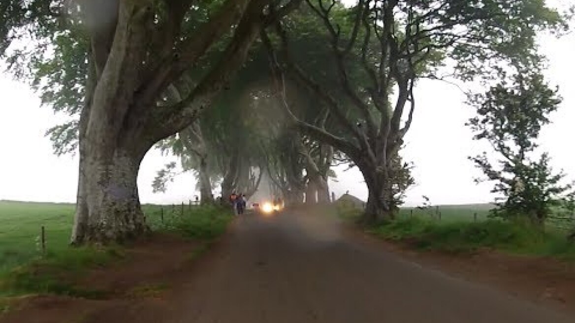 Dark Hedges - Bregagh Road - Game of Thrones