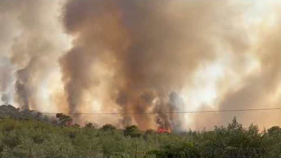Περιοχή Κιάφα το μεγάλο μέτωπο μετά την αναζωπύρωση , καίει παρθένο δάσος , κινδυνεύουν 4-5 σπίτια.