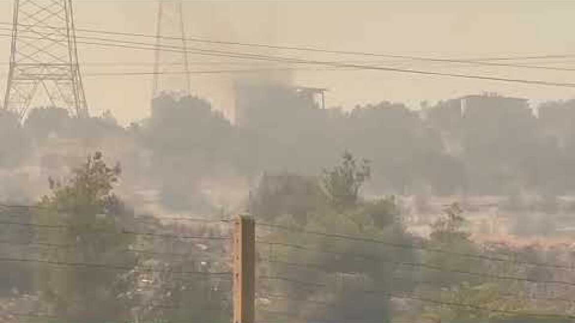 Φωτιά στο Λαγονήσι (18)